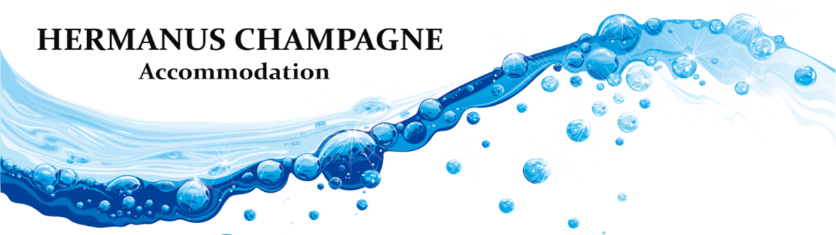logo-transparent